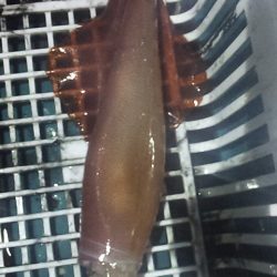 やる気スイッチどこ～？