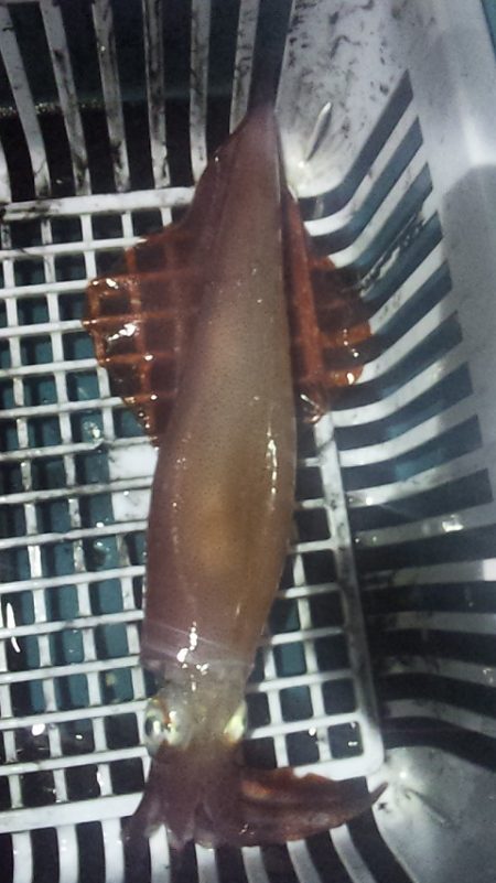 やる気スイッチどこ～？