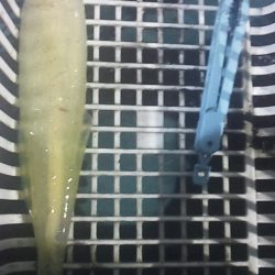 いつまで続くのこの渋さ