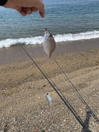 天ぷらが食べたくて