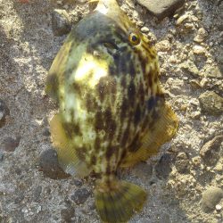 暑くなる前に・・?