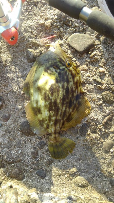 暑くなる前に・・？