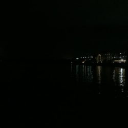 アジ子とチャリコ