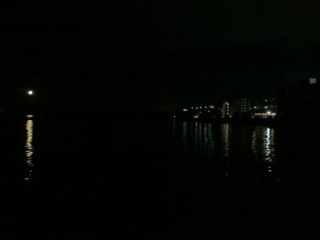 アジ子とチャリコ