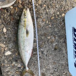 ショアジギング