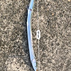 ライトショアジギングで初めての魚種