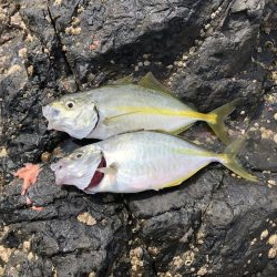 フカセ2回目‼︎