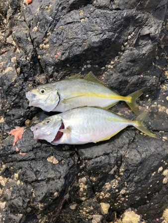 フカセ2回目‼︎