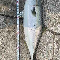 げき渋の中なんとか一本