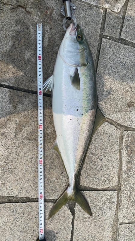 げき渋の中なんとか一本