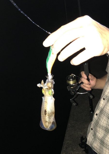 新子のご機嫌は?