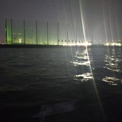 スプーン万能(?)