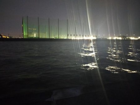 スプーン万能(?)