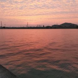 久しぶりのシーバス