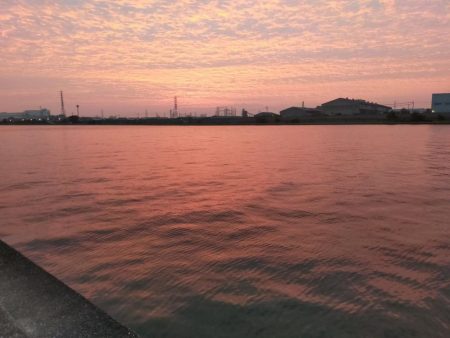 久しぶりのシーバス