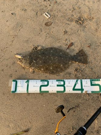 サーフでヒラメ