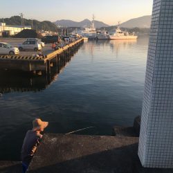 コサバ35匹、イワシ3匹