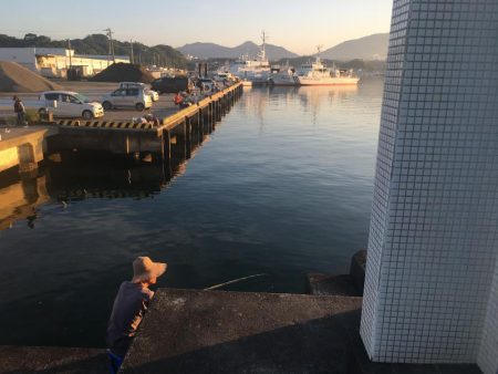 コサバ35匹、イワシ3匹