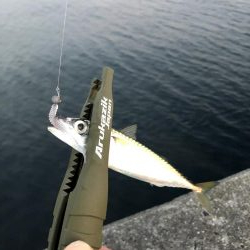 早朝サバングin西宮ケーソン2