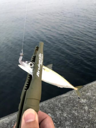 早朝サバングin西宮ケーソン2