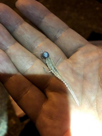 早朝アジングin大阪南港（20200818）