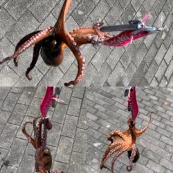 メクリアジリベンジ　タコもついでに