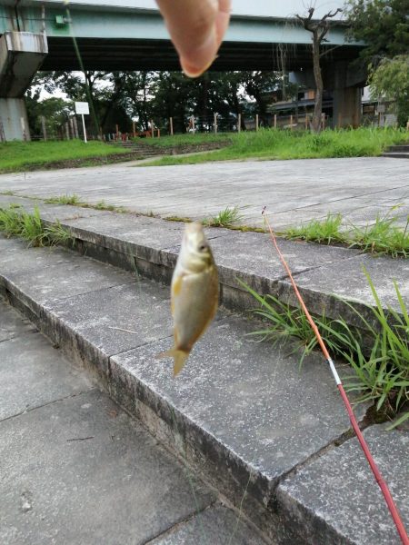 子供と夕涼みへ！