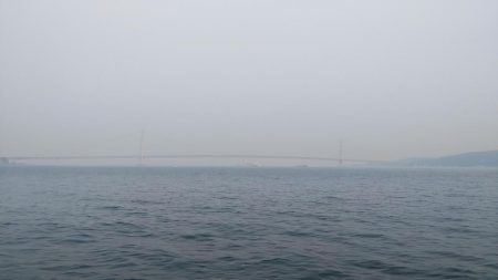 大しけ後の調査