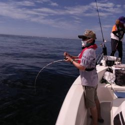 遊漁船SOUTH8/13釣果