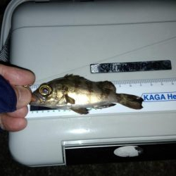 お盆休みを利用して