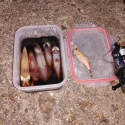 いい感じに浸かってます