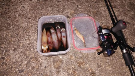 いい感じに浸かってます