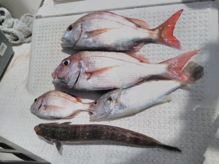 釣り船は釣れているのに