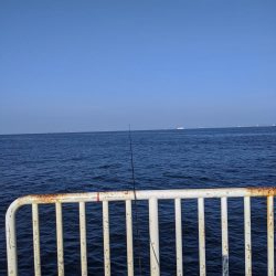 朝の5時からの釣果が良