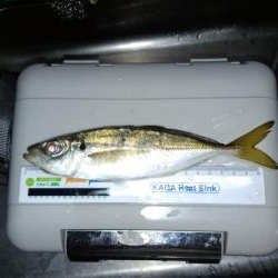 今年１番の暑さの中