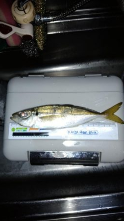 今年１番の暑さの中