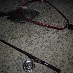 (2020/08/26 南港ヘチ釣り キビレチヌ 45cm,41.5㎝,32cm,30㎝~ ガシラ 20㎝ 釣果有り)