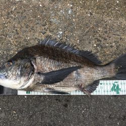 釣りキャンプ~長崎南部方面~