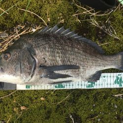 雨上がりのRIDE ON!