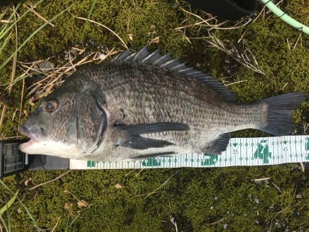 雨上がりのRIDE ON!