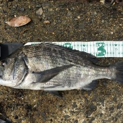 荒れている状況、ルアーアクションは丁寧に！