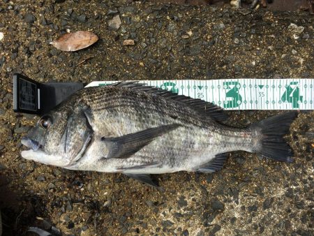 荒れている状況、ルアーアクションは丁寧に！