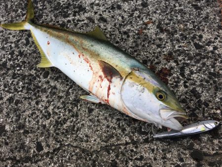 長崎新上五島 ルアーゲーム