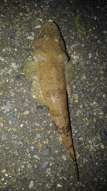 ちょっとちょい投げ‼…