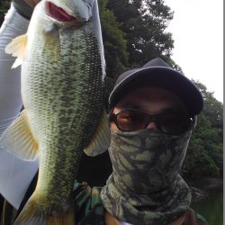 ライブスコープの釣り