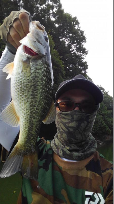 ライブスコープの釣り