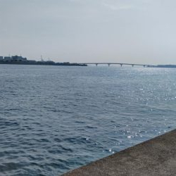 やっぱりショアジギ！！