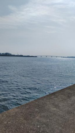 やっぱりショアジギ！！