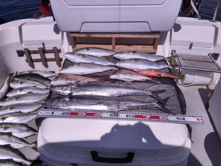 遊漁船SOUTH8/1釣果