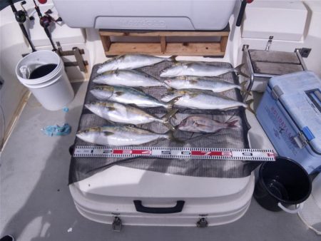 遊漁船SOUTH8/10釣果